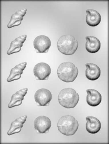 Assorted Seashells Chocolate Mould - Click Image to Close